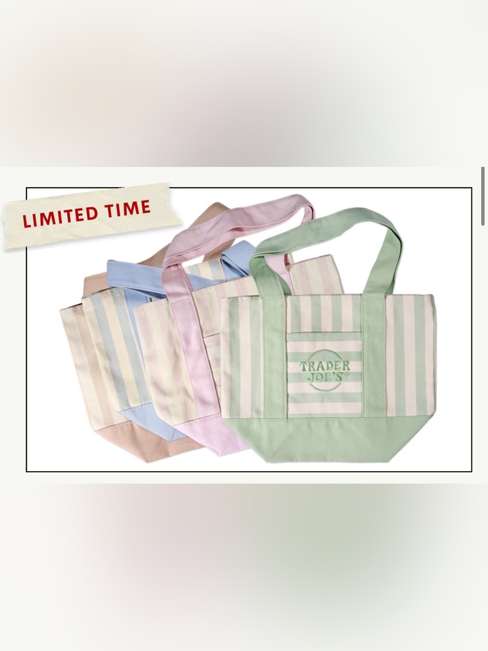 Trader Joe’s Striped Mini Canvas Tote Bag